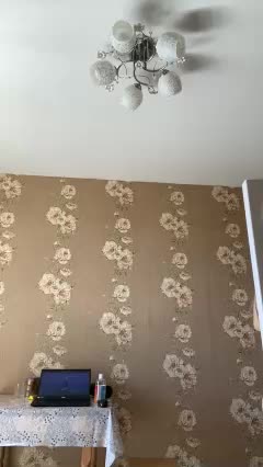 DORY_ Adult Chat September 12, 2025