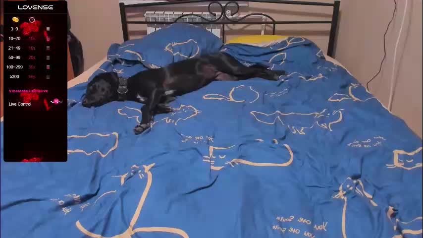 eva_zero Adult Chat September 12, 2025