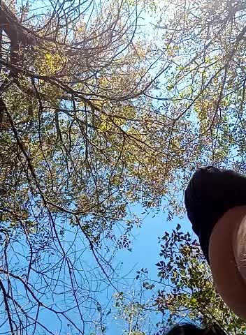 Greta_Tamar Adult Chat September 12, 2025