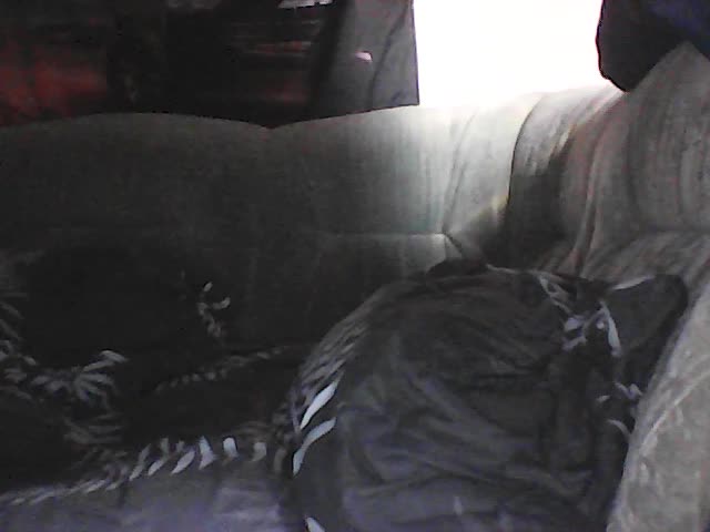 DianaCream Adult Chat September 13, 2025