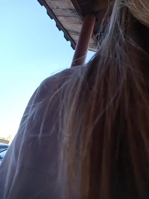 Savuka Adult Chat September 12, 2025