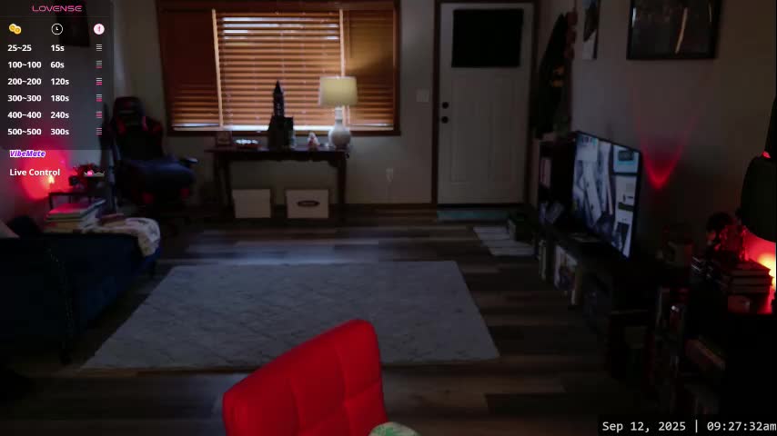 wildsouthernpeach Adult Chat September 13, 2025