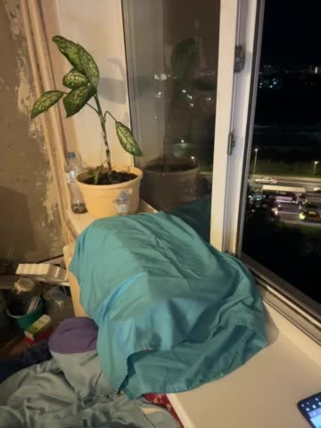 SSaibaliii Adult Chat September 13, 2025