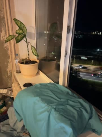 SSaibaliii Adult Chat September 13, 2025