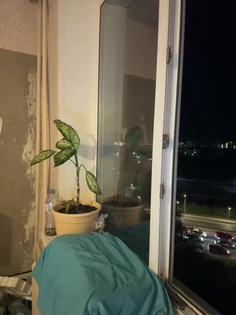 SSaibaliii Adult Chat September 13, 2025