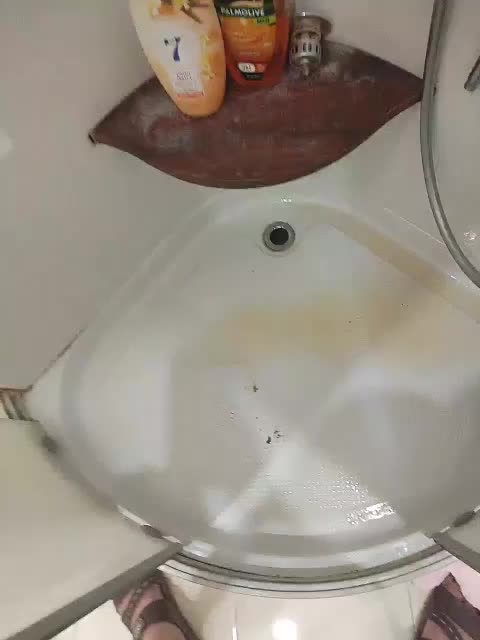 Paradise_1 Adult Chat September 13, 2025