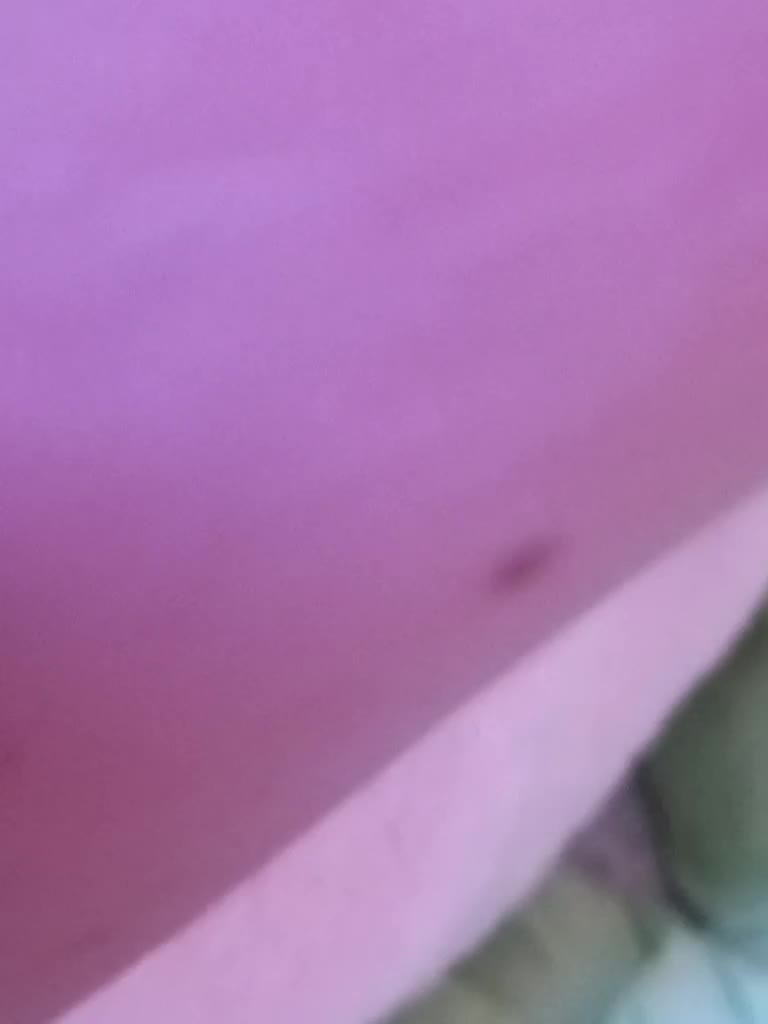 ShyOnes Adult Chat September 12, 2025