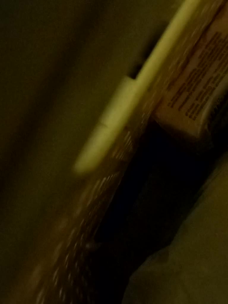 ShyOnes Adult Chat September 12, 2025