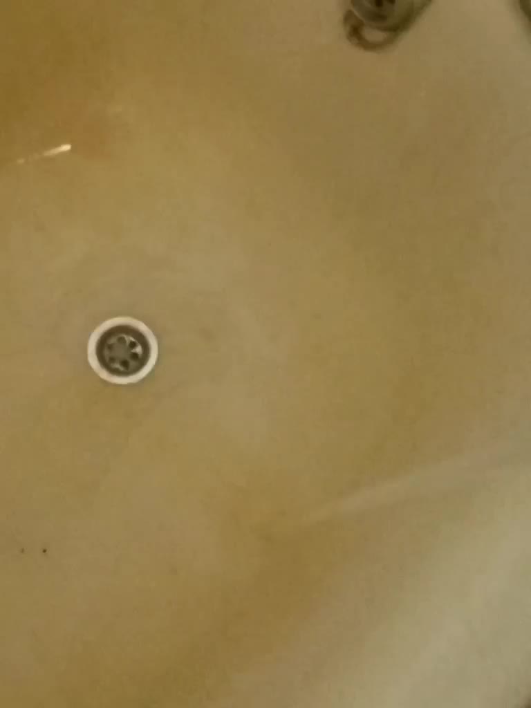 ShyOnes Adult Chat September 12, 2025