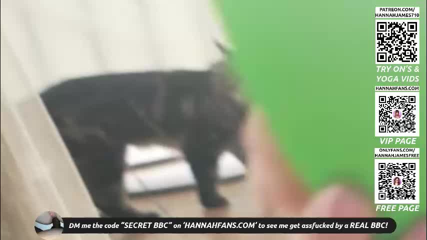 hannahjames710 Adult Chat September 13, 2025