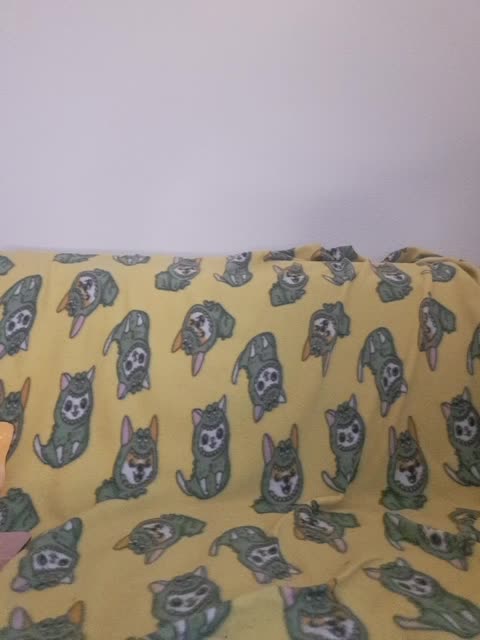 Mimimigirl Adult Chat September 14, 2025