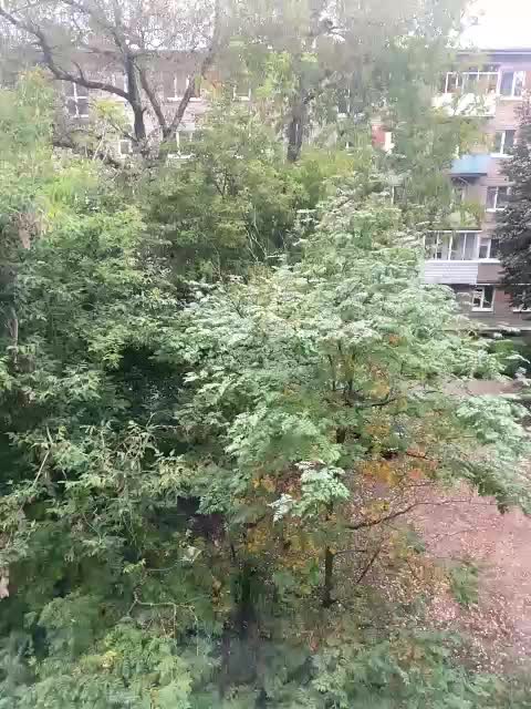 Zhozhoba69 Adult Chat September 14, 2025