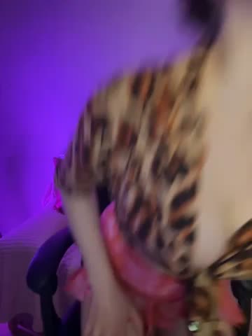 Your_insomniya Adult Chat September 14, 2025