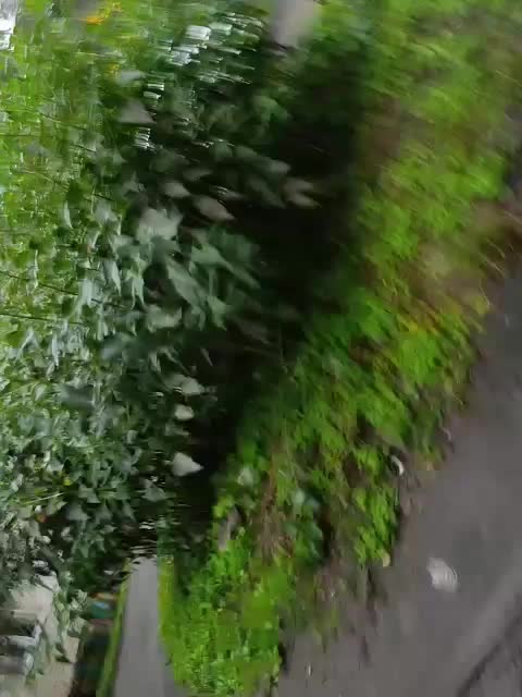 Sweetie29a Adult Chat September 14, 2025