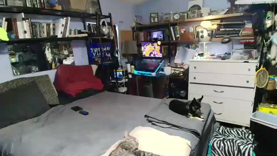 pink_black Adult Chat September 14, 2025