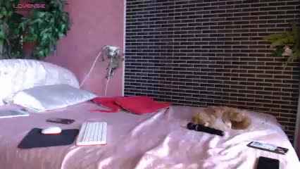 irmaXX Adult Chat September 14, 2025