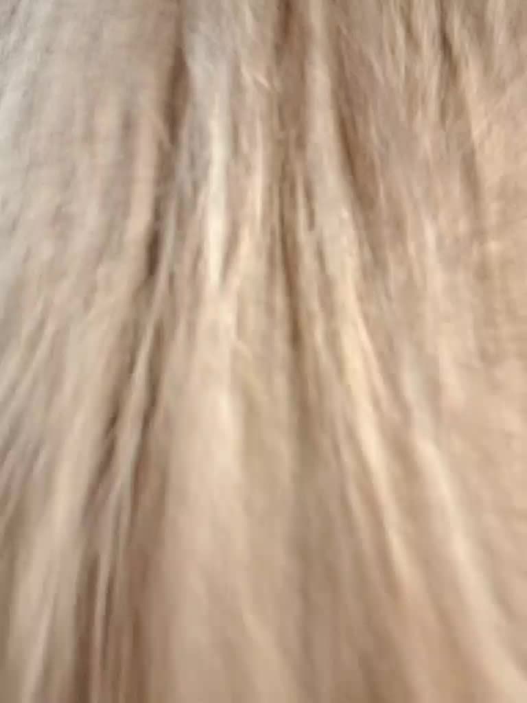 -scyrim- Adult Chat September 15, 2025