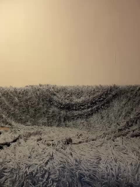 S_I_L_E_N_A Adult Chat September 15, 2025