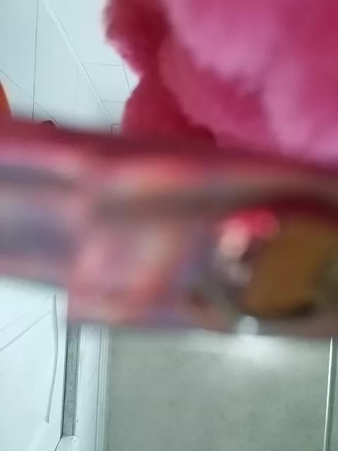 kabiriya10034 Adult Chat September 15, 2025