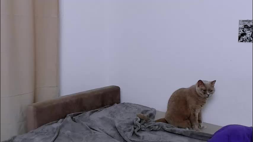 ladytrep Adult Chat September 15, 2025