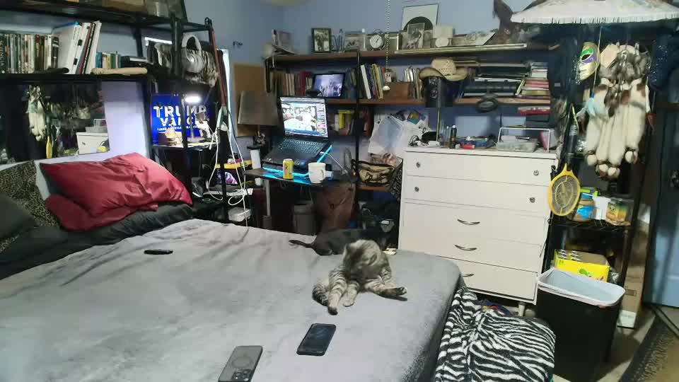 pink_black Adult Chat September 15, 2025