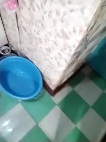 Holly-69 Adult Chat September 15, 2025