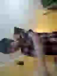 Kira700cams Adult Chat September 15, 2025