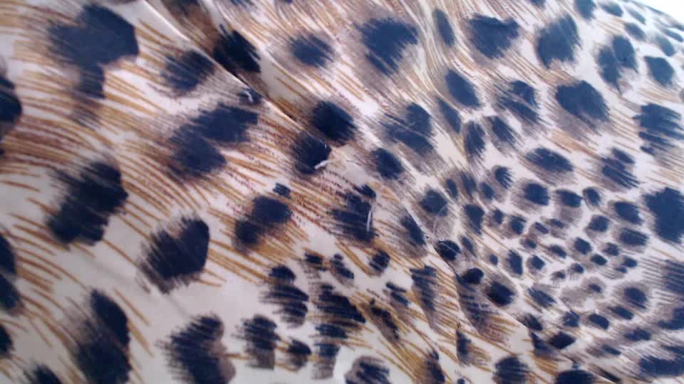 Veta-Viola Adult Chat September 15, 2025