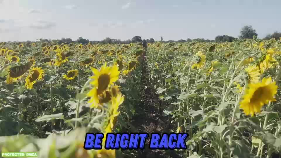 sunflower0907 Adult Chat September 16, 2025