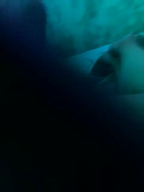 SashaLena728 Adult Chat September 16, 2025