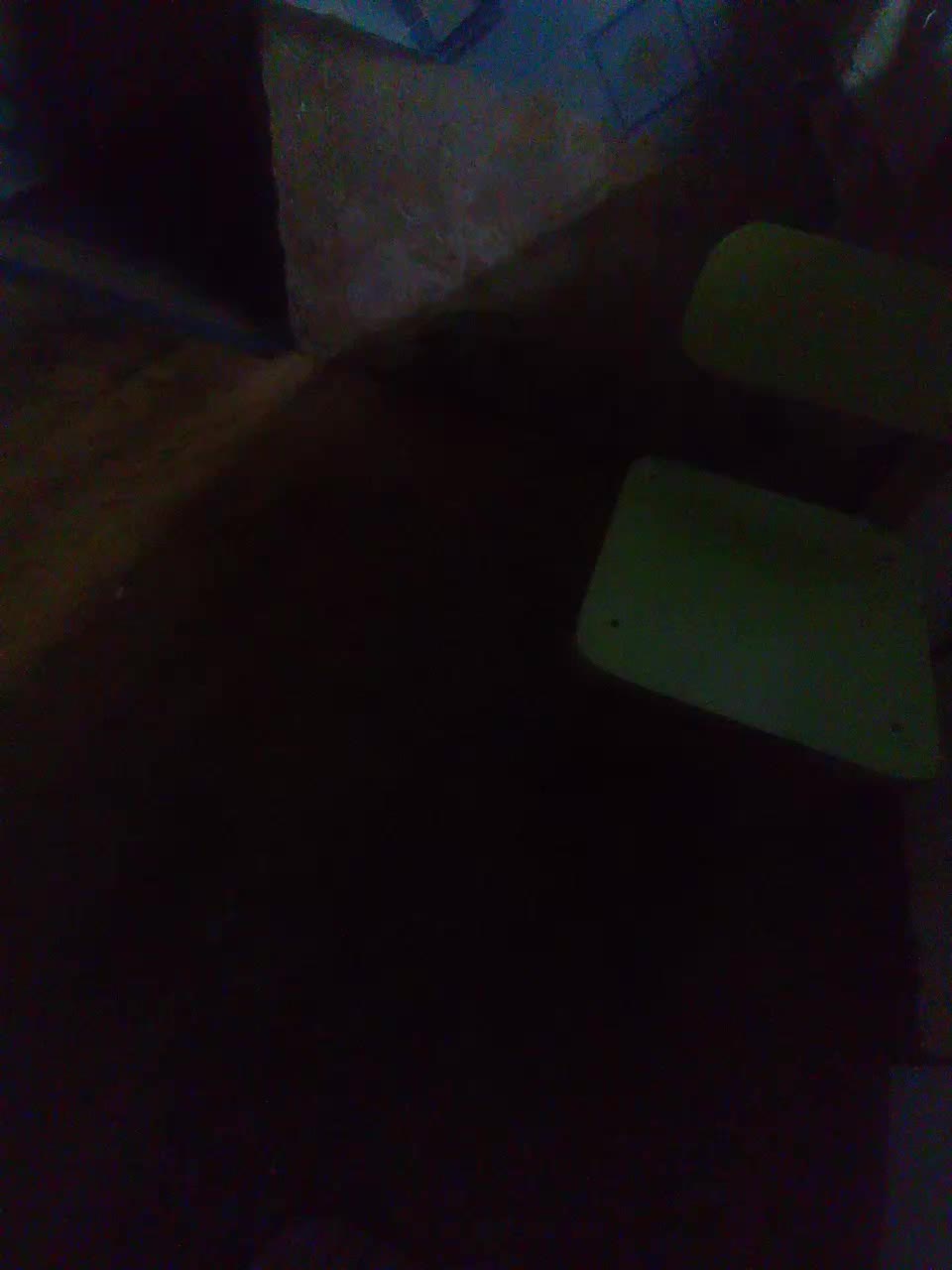 SashaLena728 Adult Chat September 16, 2025