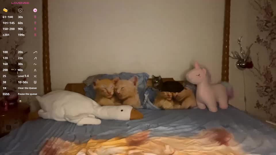 arabardon Adult Chat September 16, 2025