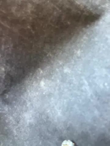 StasyWood Adult Chat September 16, 2025