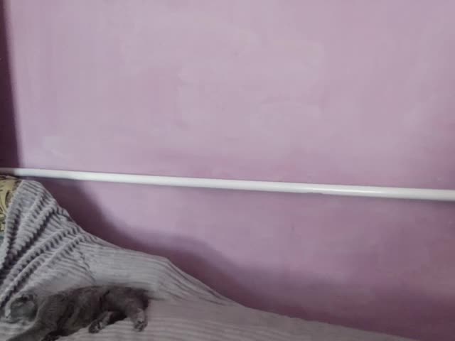 Ornotores_wers Adult Chat September 16, 2025