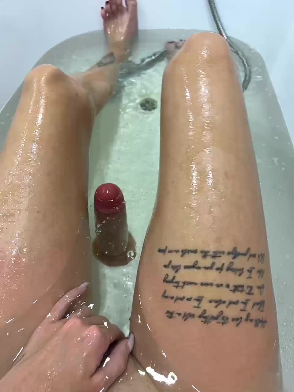 Catlive Adult Chat September 17, 2025