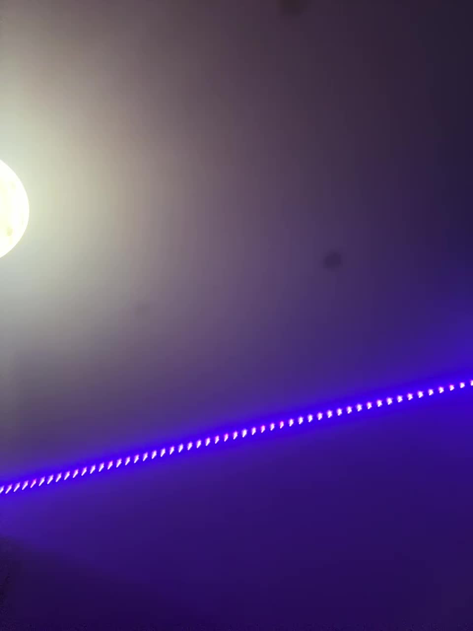 VULGARITY Adult Chat September 17, 2025