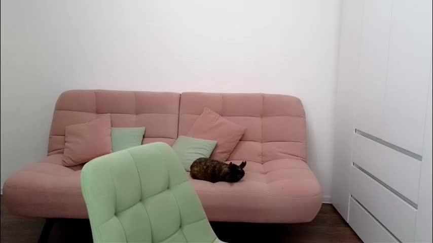 alicianoveli Adult Chat September 17, 2025