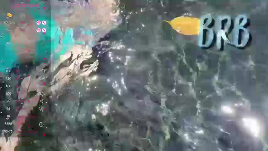 Anuskatz Adult Chat September 17, 2025