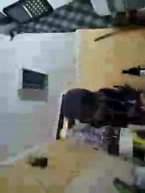 Kira700cams Adult Chat September 17, 2025