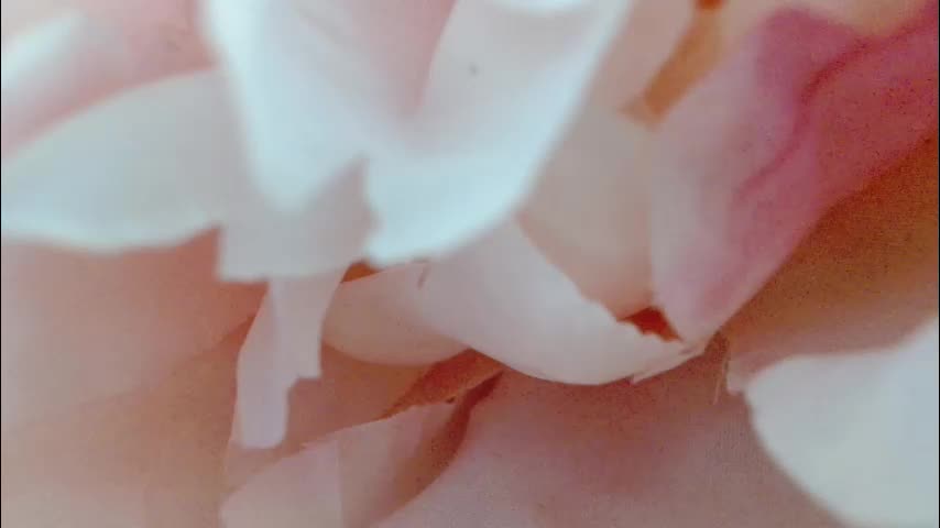 imcarrieberry Adult Chat September 17, 2025