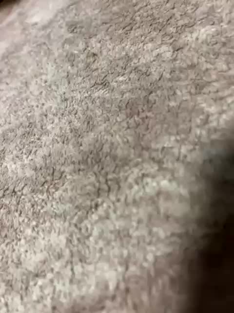 OlegOlga Adult Chat September 17, 2025