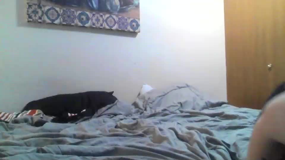 funflirt97 Adult Chat September 17, 2025