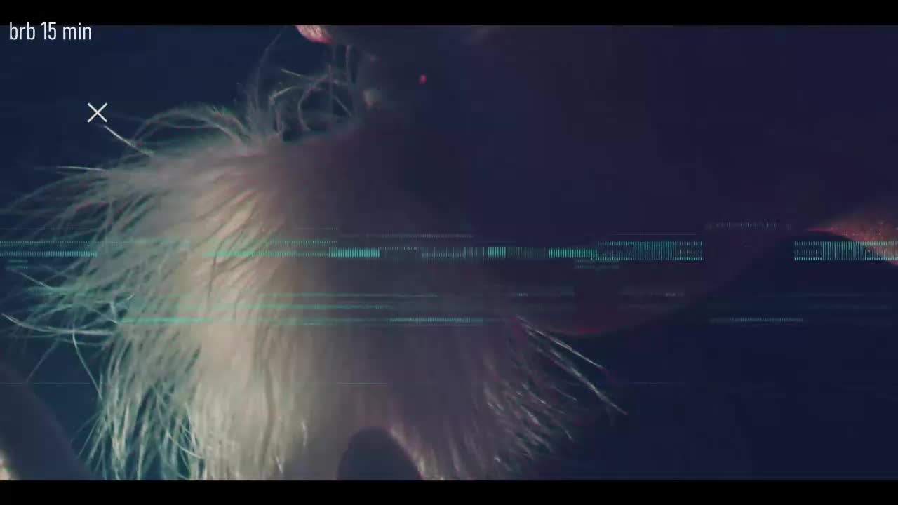 Taanni Adult Chat September 17, 2025