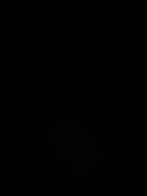 FameLara Adult Chat September 17, 2025