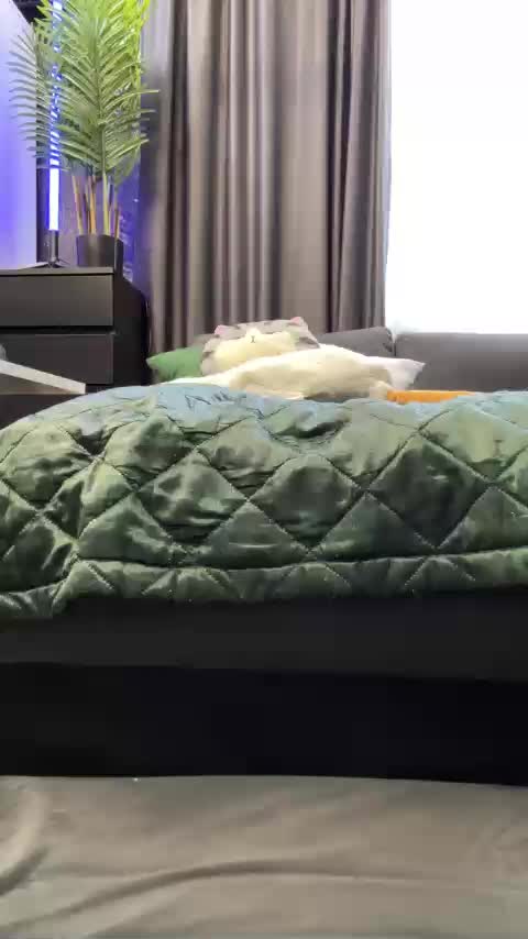 MagicMelody Adult Chat September 17, 2025