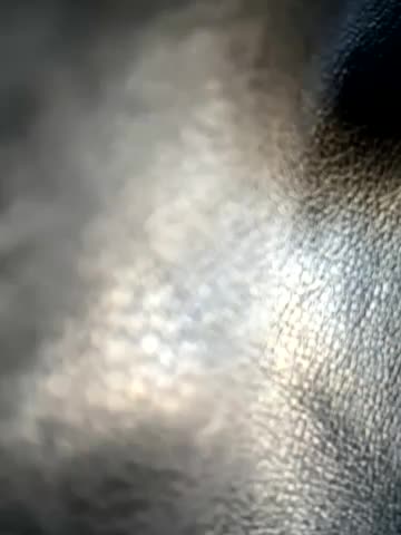 LikaCat Adult Chat September 17, 2025