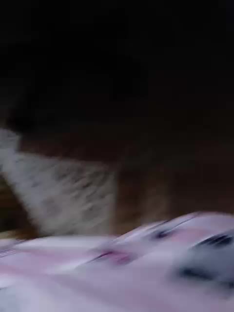 ZaraSss Adult Chat September 17, 2025