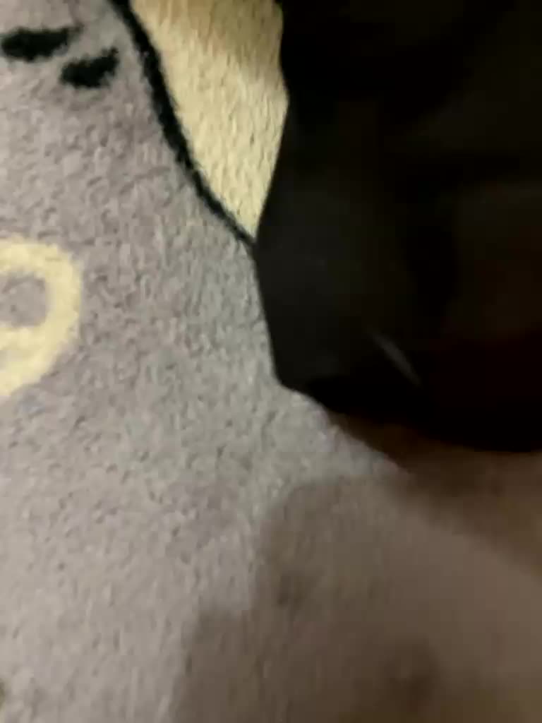 markAndhella Adult Chat September 17, 2025