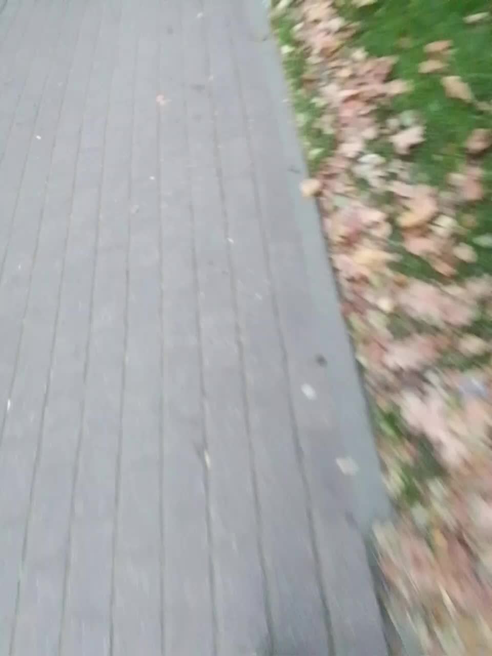 EVIL_TITS Adult Chat September 18, 2025