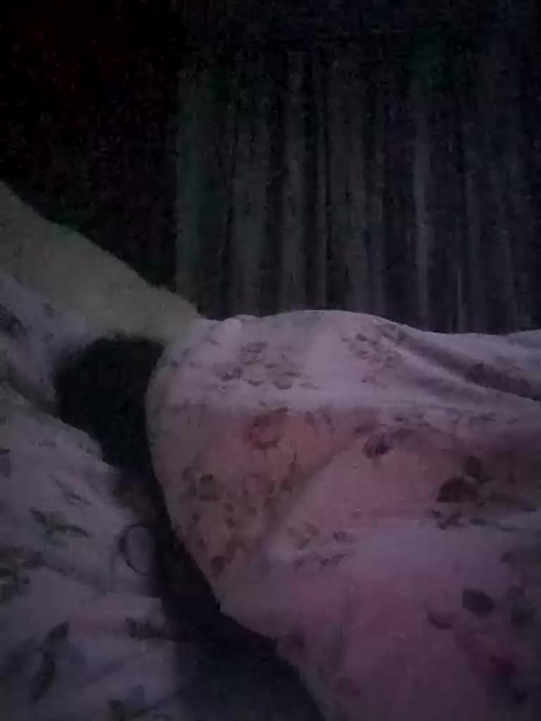 Lolaaa11 Adult Chat September 18, 2025